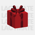 Mystery Accessories Box