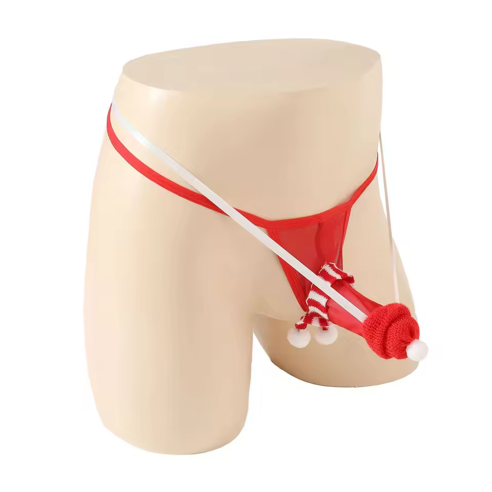 🔥 Funny Men 2025 🔥 Santa’s Secret Thong