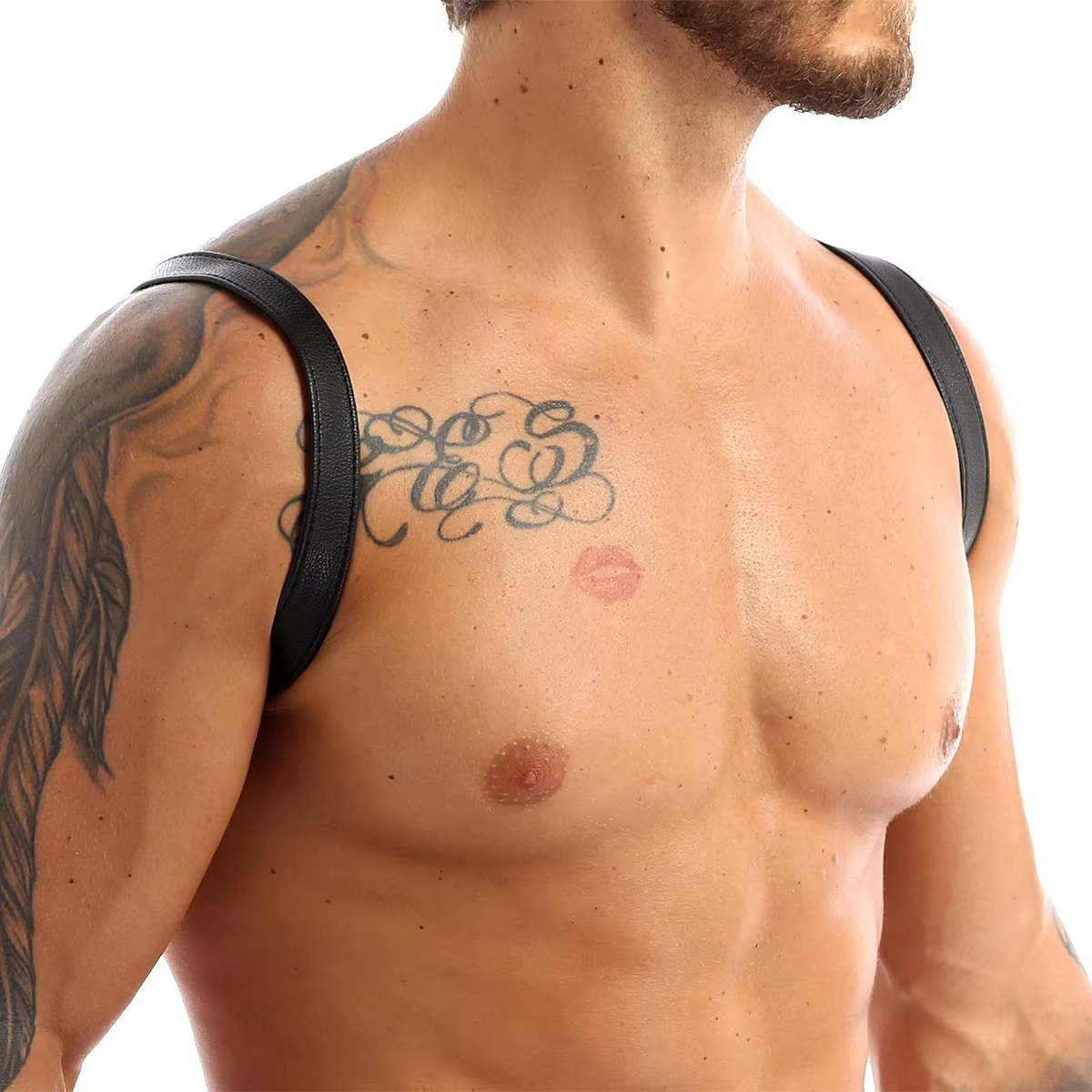 Kane Harness